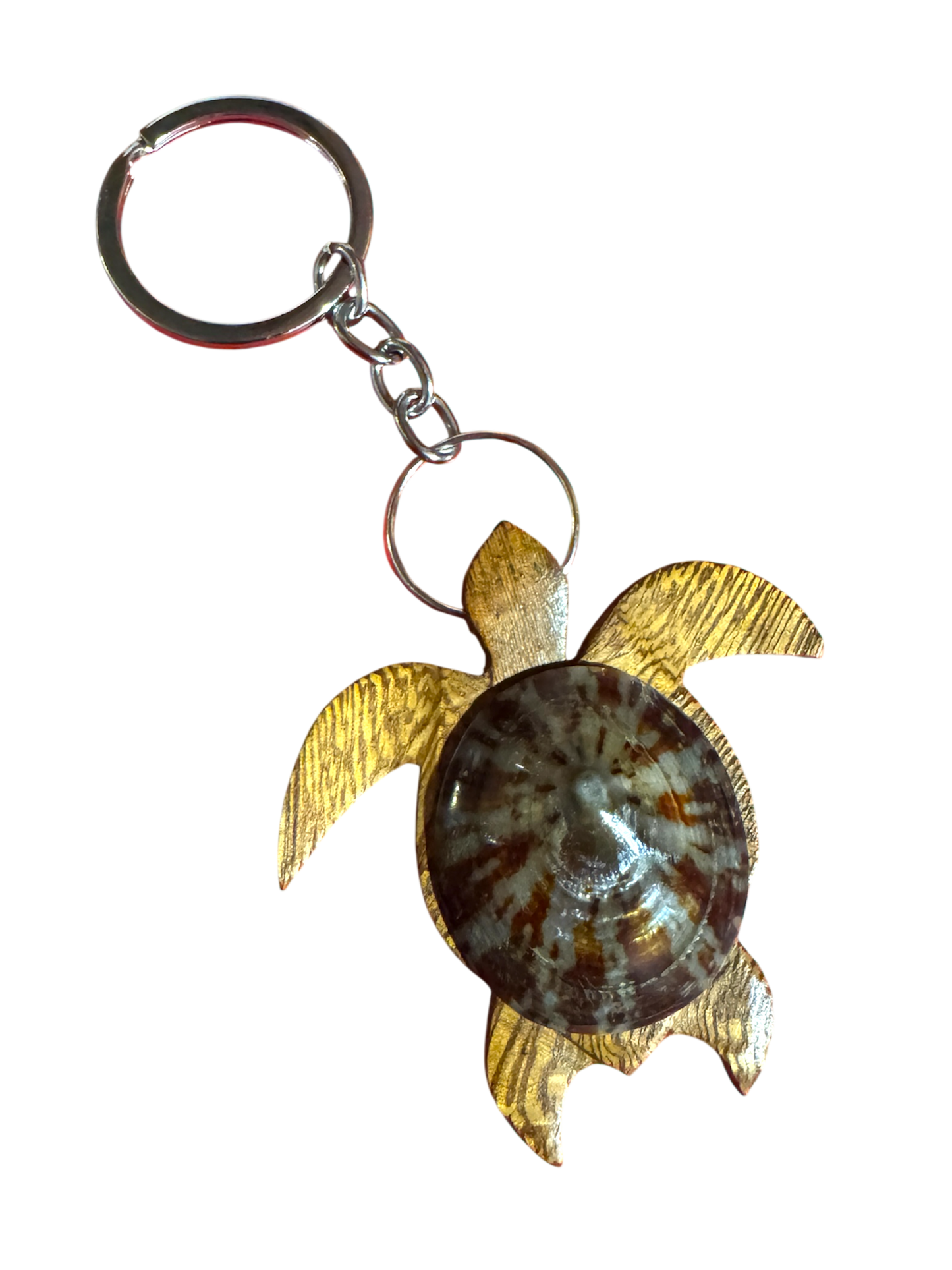 Handmade Wooden Turtle Keychain - Nerita Shell